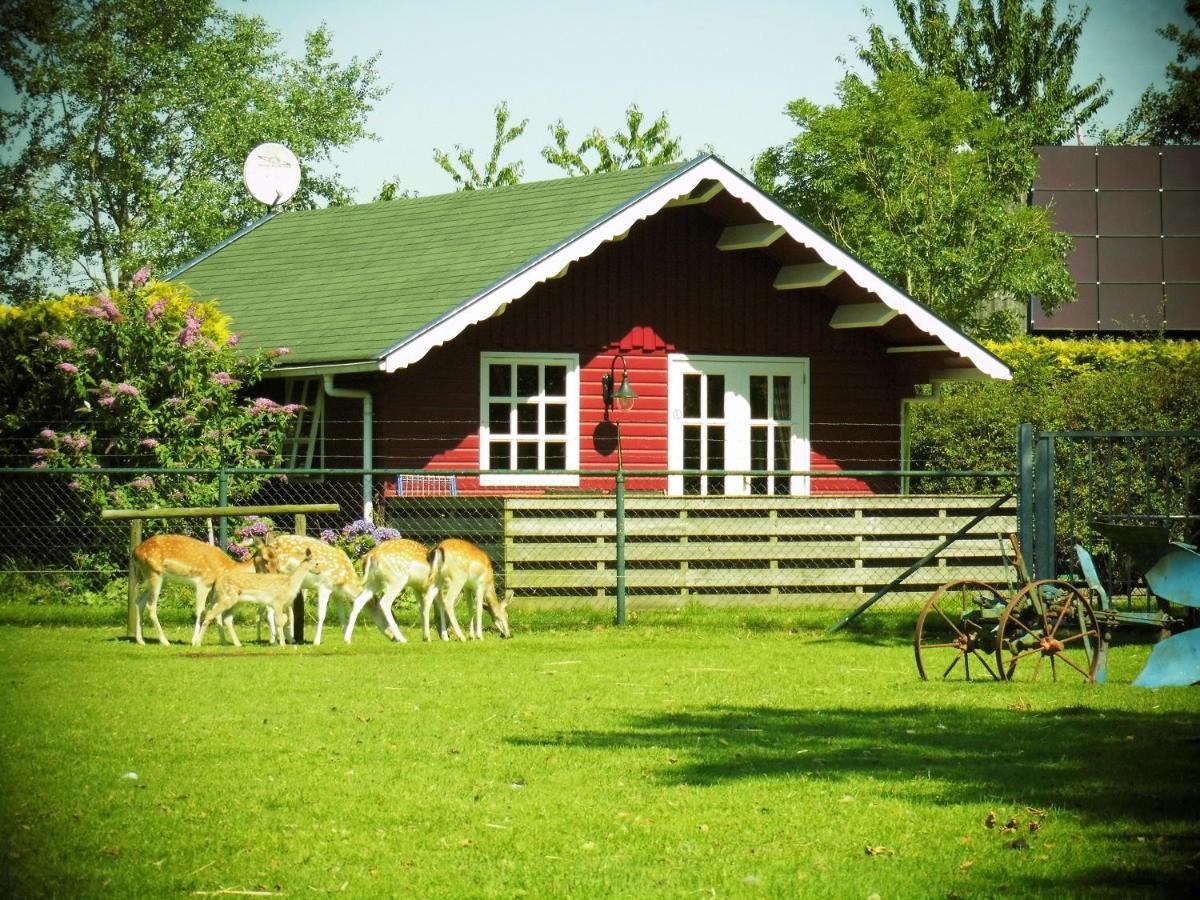 Vakantiehuisjes Landgoed Sonneborghe Kollumerzwaag ภายนอก รูปภาพ
