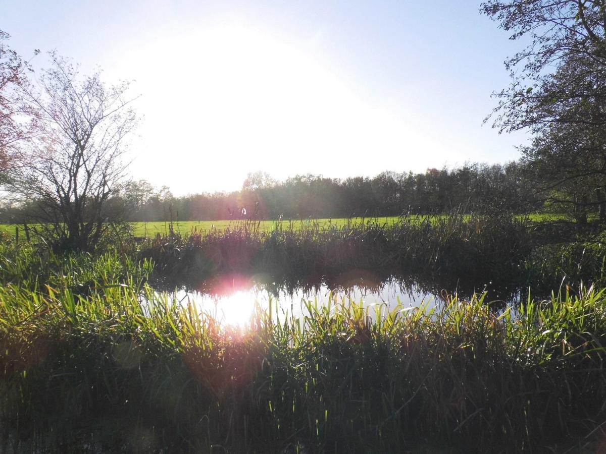 Vakantiehuisjes Landgoed Sonneborghe Kollumerzwaag ภายนอก รูปภาพ