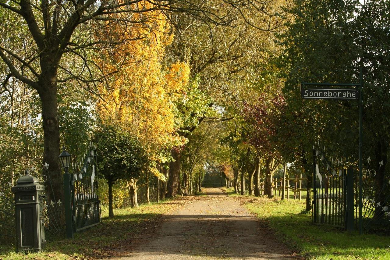 Vakantiehuisjes Landgoed Sonneborghe Kollumerzwaag ภายนอก รูปภาพ