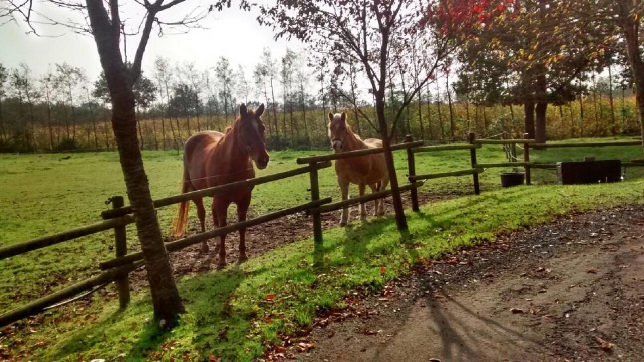 Vakantiehuisjes Landgoed Sonneborghe Kollumerzwaag ภายนอก รูปภาพ