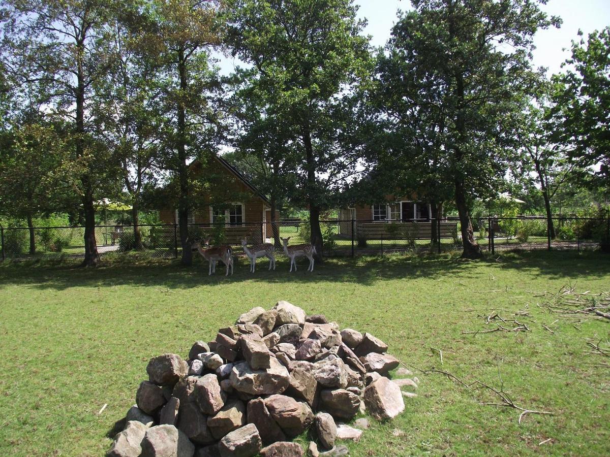 Vakantiehuisjes Landgoed Sonneborghe Kollumerzwaag ภายนอก รูปภาพ