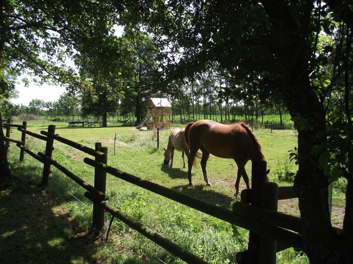 Vakantiehuisjes Landgoed Sonneborghe Kollumerzwaag ภายนอก รูปภาพ