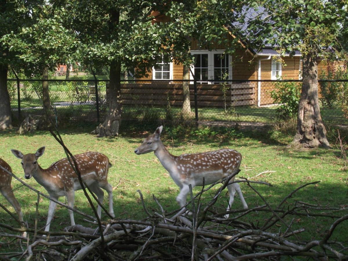 Vakantiehuisjes Landgoed Sonneborghe Kollumerzwaag ภายนอก รูปภาพ